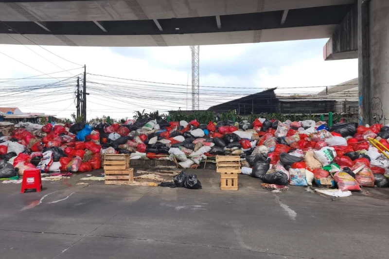 TPA Cipeucang Diperbaiki, Tangsel Dikotori Bukit Sampah & Bau Menyengat - Ole